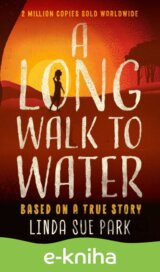 Long Walk to Water