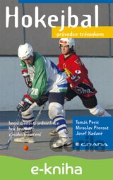 Hokejbal