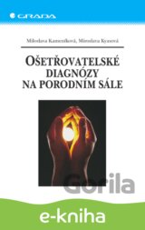 Ošetřovatelské diagnózy na porodním sále