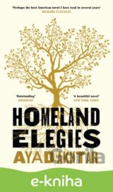 Homeland Elegies
