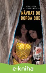 Návrat do Borga Sud