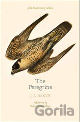 Peregrine