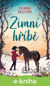 Zimní hříbě