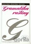 Gramatika ruštiny