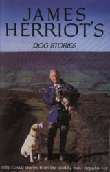 Dog Stories