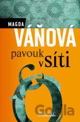 Pavouk v síti