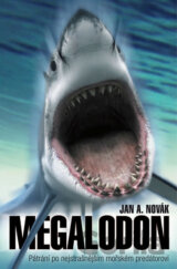 Megalodon