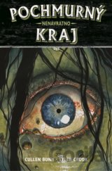 Pochmurný kraj 8 - Nenávratno