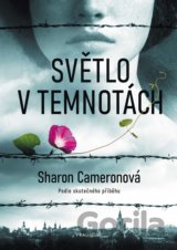 Světlo v temnotách