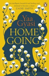 Homegoing