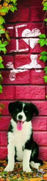 3D záložka - I love bones