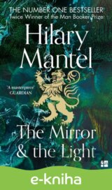 The Mirror and the Light