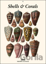 Shells & Corals - 2012
