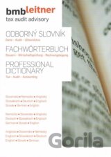 Odborný slovník: dane - audit - účtovníctvo