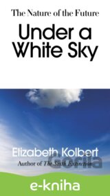 Under a White Sky