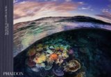Two Worlds: Above and Below the Sea
