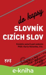 Slovník cizích slov do kapsy