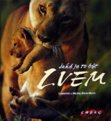 Jaké je to být lvem