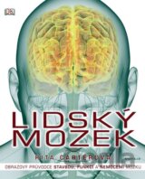 Lidský mozek