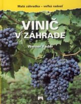 Vinič v záhrade