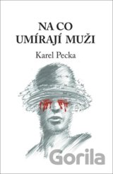 Na co umírají muži