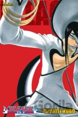 Bleach 11