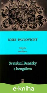 Svatební Benátky s bengálem