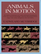 Animals in Motion