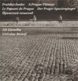 Pražský chodec
