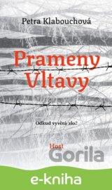 Prameny Vltavy
