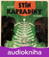 Stín kapradiny