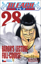 Bleach 28