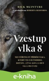Vzestup vlka 8
