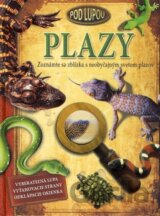 Plazy