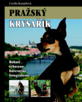 Pražský Krysařík