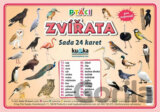 Sada 24 karet - zvířata (ptáci) A5
