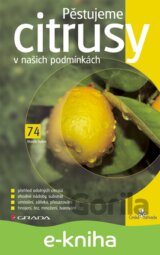 Pěstujeme citrusy v našich podmínkách