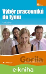 Výběr pracovníků do týmu