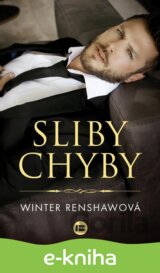 Sliby chyby