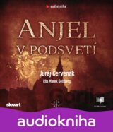 Anjel v podsvetí
