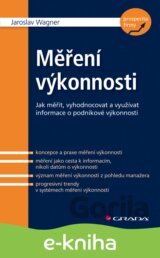 Měření výkonnosti