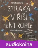Straka v říši entropie