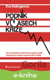 Podnik v časech krize
