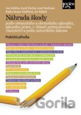 Náhrada škody podle občanského a obchodního zákoníku, zákoníku práce, v oblasti průmyslového vlastnictví a podle autorského zákona
