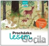 Procházka lesem