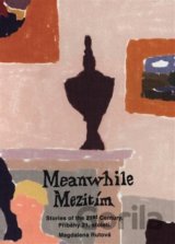 Meanwhile - Mezitím