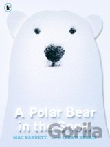 A Polar Bear in the Snow