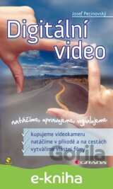 Digitální video