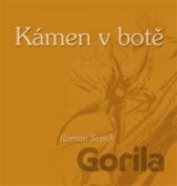Kámen v botě