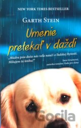 Umenie pretekať v daždi